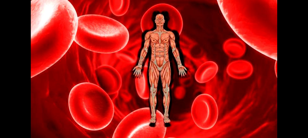 कञ्चनपुरका थारु समुदायमा ‘सिकलसेल एनिमिया’को ‘स्क्रिनिङ टेस्ट’