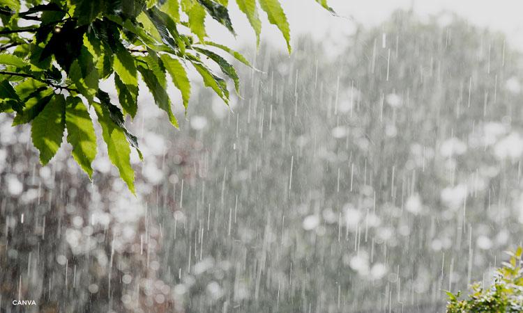 मनसुन अझै केही दिन सक्रिय रहने