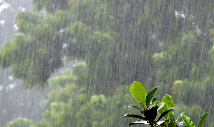 बिहीबारदेखि शनिबारसम्म भारी वर्षा र हिमपातको सम्भावना