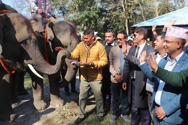 रुद्रकली र खगेन्द्रप्रसाद भैरहवा पुगे, भोलि कतार पठाइने