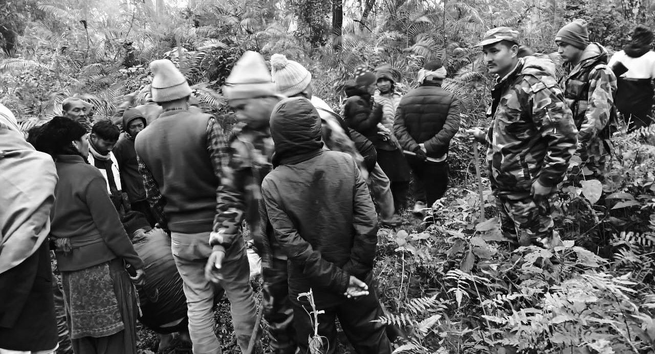 कञ्चनपुर : बाघको आ*क्रम*णबाट एक वृद्धाको मृ*त्यु